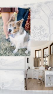 We love dogs, and we also love custom cabinetry for our dogs! This is a really cool custom piece built into a radius wall β¦ we hope the fur babies that actually live in this house love it as much as we do π
With @esbuildersaz and @thelifestyledco
The nice πΈ @lifecreated mixed in with some of our progress shots & dogs
#customcabinetry #dogsofinstagram #dogstation